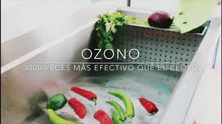 DESINFECCIÓN DE VEGETALES CON OZONO [upl. by Yrahk]