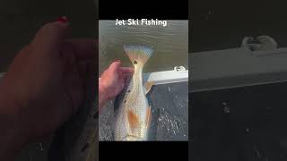 Jet Ski Fishing saltlife fishingaddict fishing seadoo redfish fishingtiktoks redfishing [upl. by Leslee151]