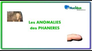 Les anomalies des phanères [upl. by Ultima]