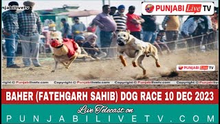 🔴LIVE BAHER FATEHGARH SAHIB DOG RACE 10 DEC 2023 BY PUNJABILIVETVCOM [upl. by Rafaello631]