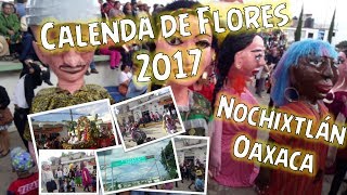 CALENDA DE FLORES 2017 NOCHIXTLÁN OAXACA [upl. by Jempty412]