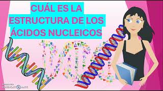 CÚAL ES LA ESTRUCTURA DE LOS ÁCIDOS NUCLEICOS [upl. by Linnell]