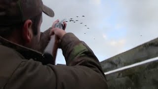 Goose hunting scotland best of shots Compilation [upl. by Enellij]