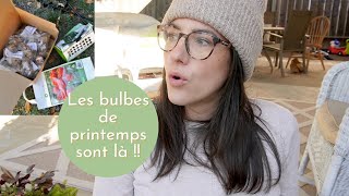 Bulbes pour le printemps prochain  haul amp plantations [upl. by Doris]