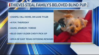 DOGNAPPING Thieves steal familys beloved blind pup [upl. by Worrell828]