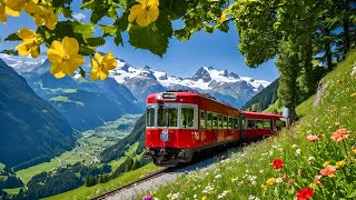 World’s Most Scenic Train Journey in Switzerland  Schynige Platte  Top of Swiss Tradition [upl. by Danialah]