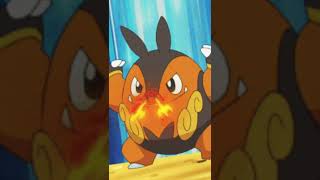 Who is Strongest  Tepig vs Pignite [upl. by Shipman]