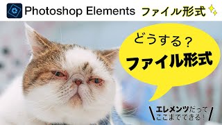 【基本 120】Photoshop Elementsのファイル形式！どうする？ [upl. by Easlehc561]