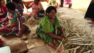 Conservation on Fijis Taveuni Island [upl. by Connor833]