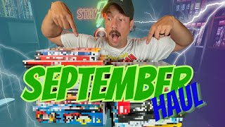 September 2024 HAUL  Birthday amp Hurricane Haul  Marvel amp DC Omnibuses [upl. by Robinette]