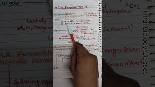 fermentation  types of fermentation Respiration in plant biology 🩺📝 [upl. by Leugimsiul]