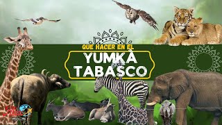 Visita el YUMKA en Villahermosa  LA MEJOR GUÍA [upl. by Eerej939]