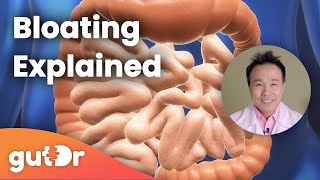 Bloating  The GutDr Explains 3D Gut Animation [upl. by Ardnauqal]