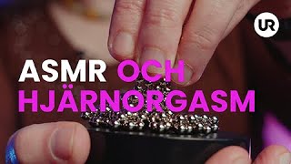 ASMR och hjärnorgasm  Sverige forskar [upl. by Ttirrej39]