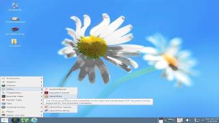 Tails OS 12  Overview Windows 8 Camouflage [upl. by Emelda639]