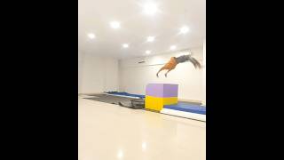 Table Vault Front Handspring Slow Motion  Gymnastics [upl. by Chemosh126]