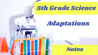 Plant and Animal Adaptations  5th grade online science lesson [upl. by Alikahs]