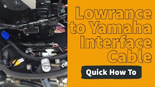 How to Install Yamaha Interface Cable [upl. by Llecrad]