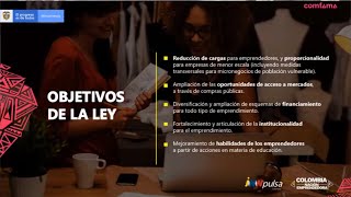 5 Ejes de análisis para la ley de Emprendimiento 2069 2021 en Colombia 🇨🇴 [upl. by Quentin]