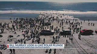 Bill Murray LookALike Polar Plunge on Folly Beach New Years Day [upl. by Urien]