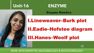 Linear plots  Lineweaver–Burk plot  Eadie–Hofstee diagram  Hanes–Woolf plot  Enzyme 16 [upl. by Haidej]