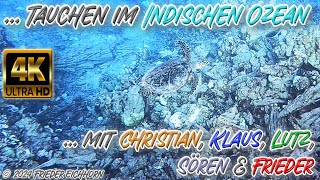 Tauchen im Indischen Ozean 🐢 🐬 🐡 … [upl. by Archle]