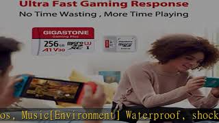 Gigastone 256GB Micro SD Card Gaming Plus MicroSDXC Memory Card for NintendoSwitch Wyze GoPr [upl. by Doroteya]