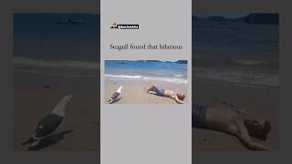 Oh My God😰Wait For End😳He made that Bird Laugh😳😂 viralcontent reels tiktok animals funny [upl. by Oirasan481]