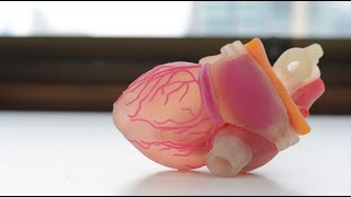 Artificial Organs The Future of Tissue Engineering 4 Minutes [upl. by Farrand]