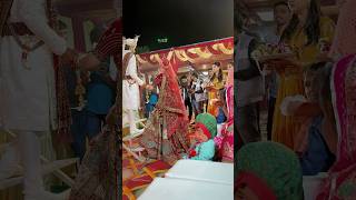 Mere yaar ki shyaadi h✨💖✨ bollywood hindisong music song shortvideo marriagevideo [upl. by Elbas55]