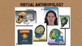 Forensic Aspects of Identification Scientific amp NonScientific [upl. by Betsy]