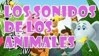 Sonidos De Animales  Escuchar Sonidos De Animales Sonidos de Animales Domesticos y Salvajes Online [upl. by Nodarse]