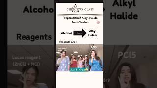 Prep of Alkyl Halide student chemistry chemistrywale studytips class12 instareels justforfun😜 [upl. by Sellig]