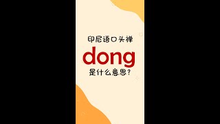 印尼语口头禅“dong”是什么意思？ [upl. by Eldredge]