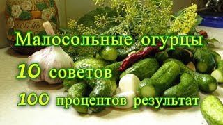 Рецепт малосольных огурцов 10 СОВЕТОВ 100 результат [upl. by Ermeena429]