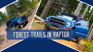 Ford F150 Raptor vs Forest Trials [upl. by Sigsmond87]