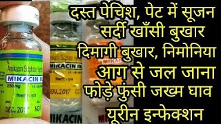 Mikacin injection 500mgAntibioticMedicineUse in hindi💯💯 [upl. by Steffin249]