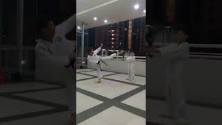 Mawashi geri speed [upl. by Rosco]