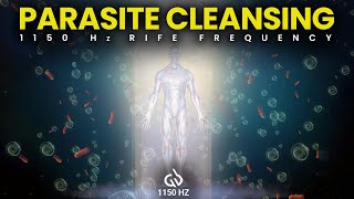 1150 Hz Parasite Cleansing Frequency Rife Frequency for Parasite Cleanse [upl. by Anawyt]