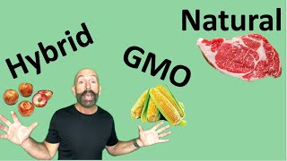 Hybridization vs Genetic Modification Key Differences Explained gmo hybrid [upl. by Aennyl]