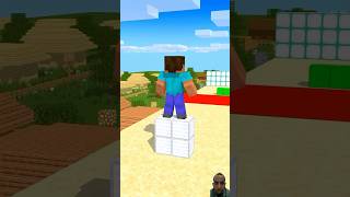 richmanCARGO SKATES RUN With herobrine amp sadako funnyshorts fypシ minecraftshortsvideoonyoutube [upl. by Cheria]