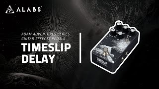 Adam Adventures Series  ALABS Audio TIMESLIP DELAY Licks Demo [upl. by Eerrehc]