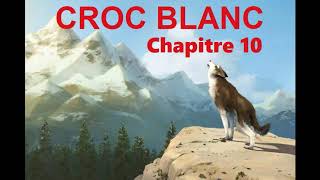 Croc Blanc  Livre Audio 🔈  chapitre 10  La servitude [upl. by Molini]