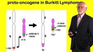 Protooncogenes and cancer  J Michael Bishop UCSF [upl. by Edylc348]