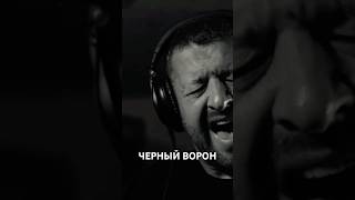 Алексей Пигуренко Черный ворон черныйворон [upl. by Kirat]