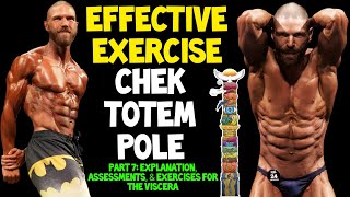 How to ASSESS Viscera amp Internal Organs amp Perform ABDOMINAL Exercises  Paul CHEK Totem Pole Part 7 [upl. by Asyal972]