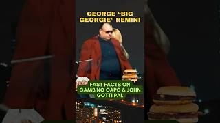 BIG GEORGIE REMINI  An Inside Look At a Gambino Capo amp Gotti Prison Friend johngotti gambino [upl. by Anali]