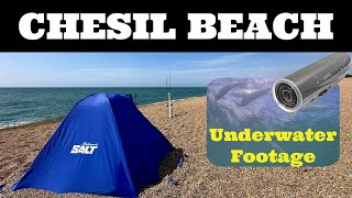 Summer Cod Fishing ABBOTSBURY  Underwater Footage  CHESIL BEACH [upl. by Wetzel]