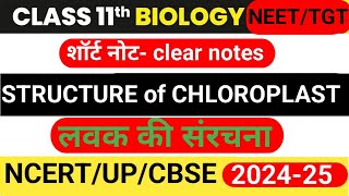 Structure of chloroplast chloroplast ki sanrachna chloroplast by Arvind sir [upl. by Ruyle]