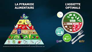 Les groupes d’aliments amp l’équilibre alimentaire [upl. by Airamahs148]